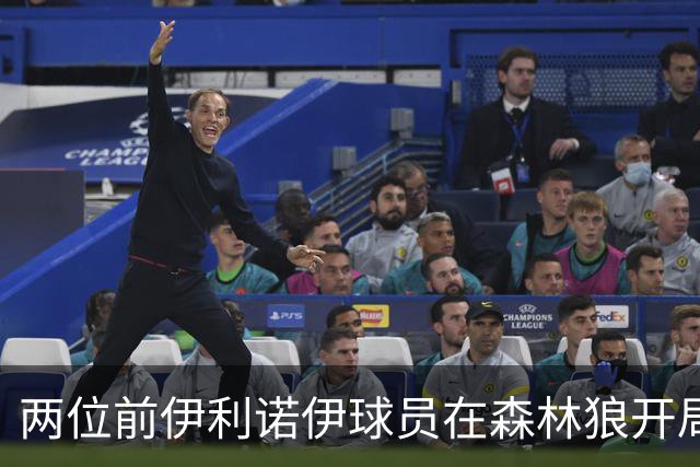 两位前伊利诺伊球员在森林狼开局抢眼，多苏穆场均12分香农13分