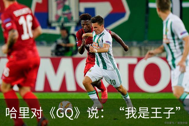哈里对《GQ》说：“我是王子”！专家大笑：威廉从来不提！