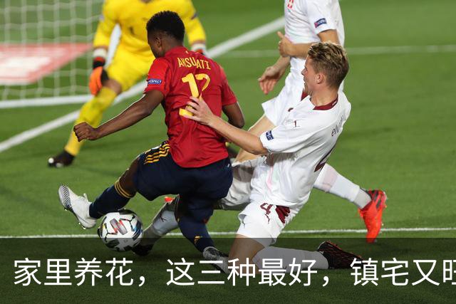 家里养花，这三种最好，镇宅又旺财，家家户户都能养
