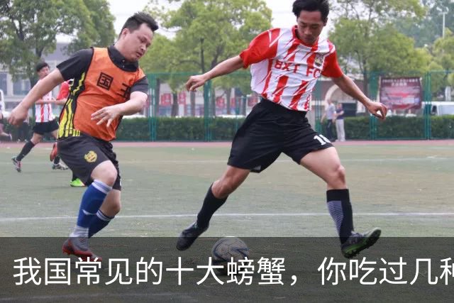 我国常见的十大螃蟹，你吃过几种？