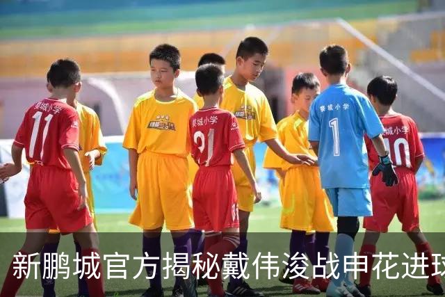 新鹏城官方揭秘戴伟浚战申花进球：早有布局，绝非即兴发挥