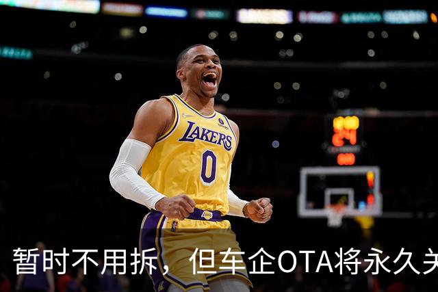 暂时不用拆，但车企OTA将永久关闭：存量L2小蓝灯何去何从？