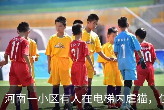 河南一小区有人在电梯内虐猫，住户称是一对母子，男子手撑电梯借力，踩踏猫身长达5分钟；警方已介入调查