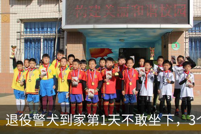 退役警犬到家第1天不敢坐下，3个月后…猫哥被烦到想报警？警犬：报吧，出警的是我前爹！