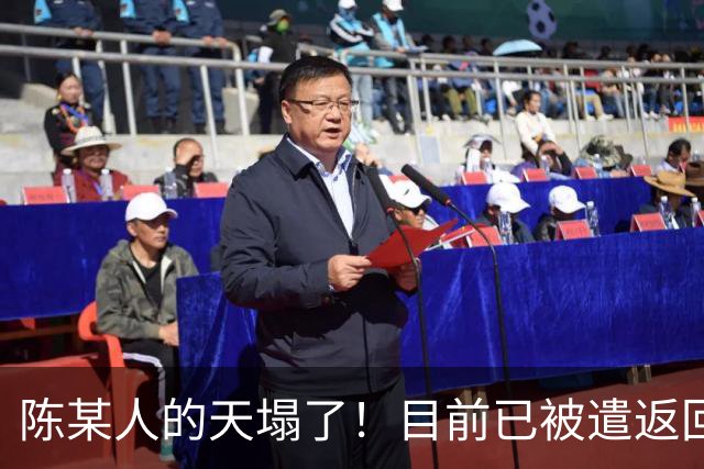 陈某人的天塌了！目前已被遣返回国